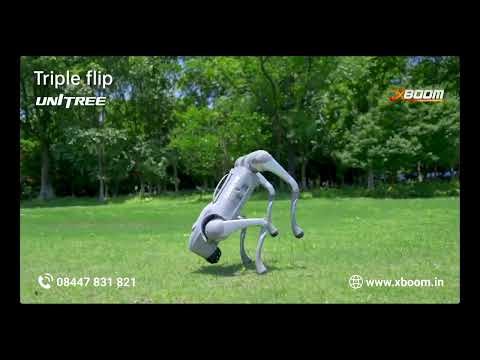 Unitree Go2 Air | Advanced Quadruped Robot in Action 🤖