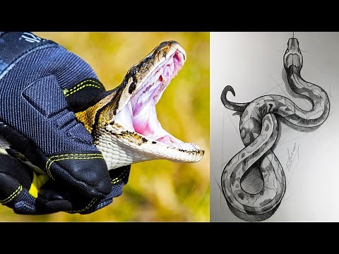 How to draw a Snake. Python easy art drawing tutorial