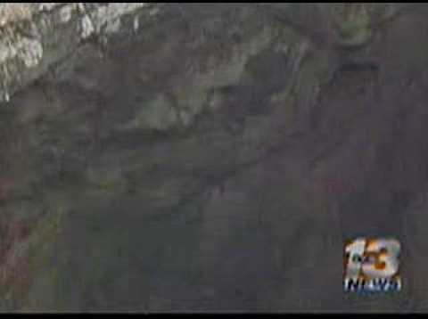 Skyfish - Flying rods ufo