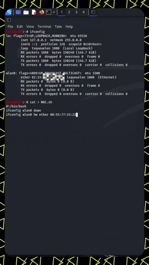 No Tools! Create MAC Changer Script in Kali Linux 🔥