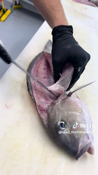 Delicious Blue Line Tilefish: A Guide to Taste and Texture