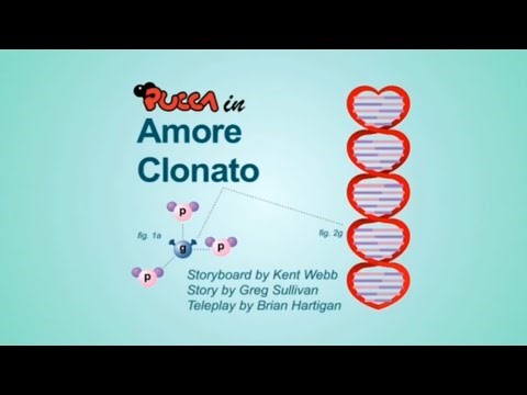 Pucca • Mi Amado Clon, Capitulo 20 Temporada 1 Completo En Español Latino.
