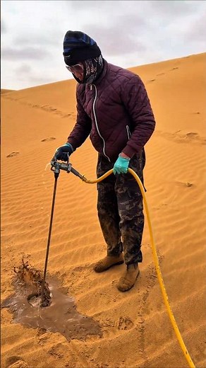 They Planted BILLIONS of Trees to Stop a Desert... And It Worked 😱😳