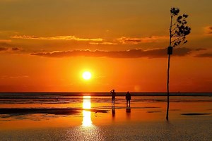 The ultimate guide to visiting Cape Cod on a budget: discounts, savings and affordable activities - Lonely Planet