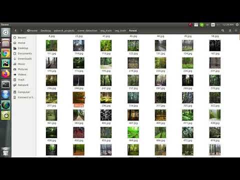 Image Classification using CNN from Scratch in Pytorch- Part 1 Training