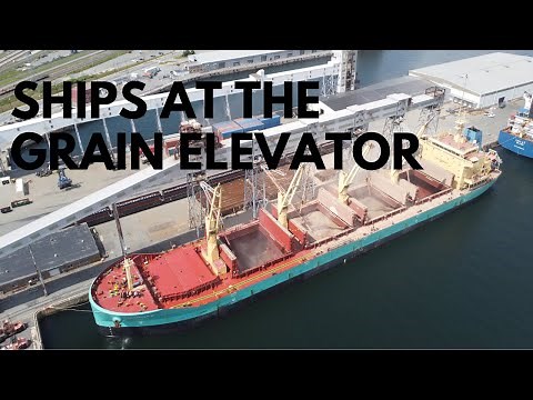 How ships load and unload grain in port