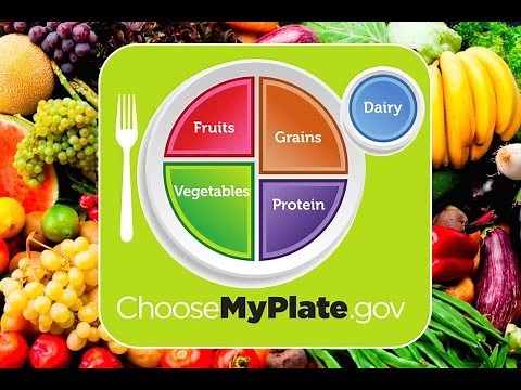 How to Create a Balanced Diet: My Plate!
