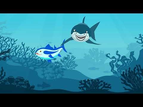 Slippery Fish | Kids Songs | Lil Animation