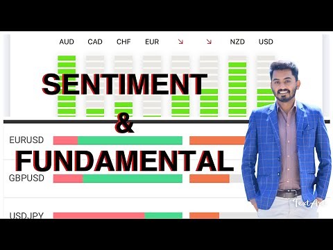 Forex Sentiment and Fundamental analysis for beginners | Forex Sentiments | Forex Fundamentals