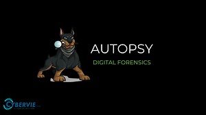 Introduction To Autopsy | An Open-Source Digital Forensics Tool - CYBERVIE