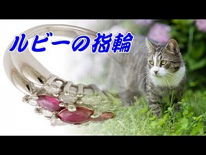 ルビーの指輪：寺尾聡