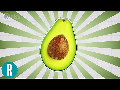 The Science of Avocados