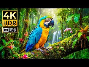 Ultimate 4K HDR Animal World | Cinematic Wildlife in Dolby Vision 120FPS