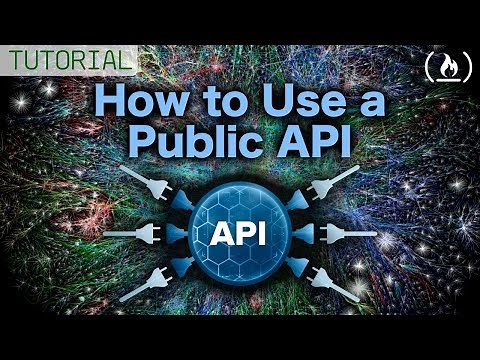 Using a Public API - Tutorial for Beginners