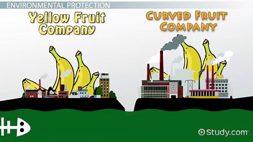 Role of Government in Market Economy | Overview & Examples