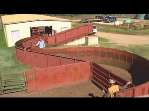 Cattle Handling - Facilities