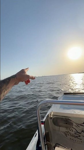 Carolina skiff j14 offshore? ✅ #fishing #fishingvideo #boat #boats #fyp #florida #carolinaskiff #diy