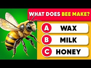 General Knowledge Trivia Quiz! 🧠✅🏆 60 Questions Everyone Should Know | Quiz Kingdom