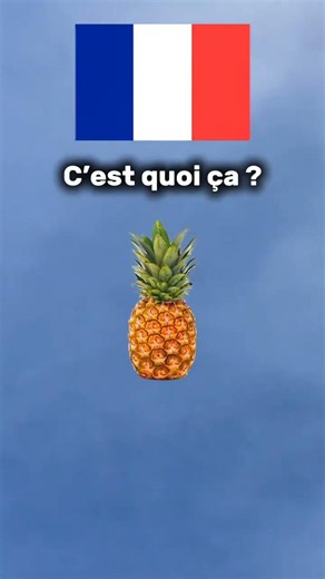 Learn Easy French #frenchlanguage #learnfrench