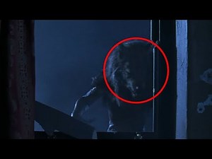 5 Mysterious Creatures Caught on Camera! - Darkness Prevails