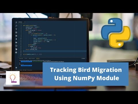 Tracking Bird Migration Using NumPy Module | Python Project
