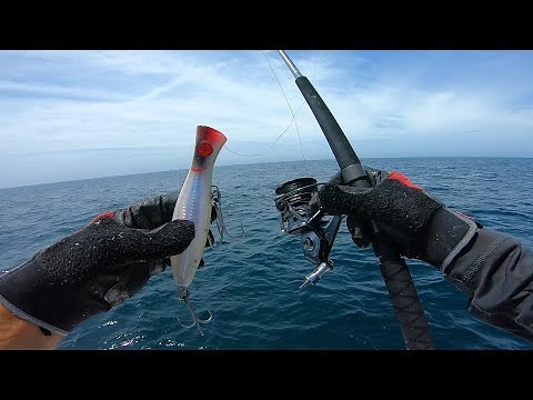 Epic Day Offshore Fishing With Topwater and Trolling