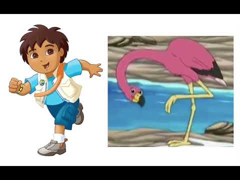 Go, Diego, Go!- Go, Go, Go