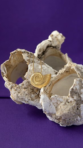 Coming soon! The Ursula Shell Necklace inspired by Disney’s #TheLittleMermaid (2023). Handcrafted in durable artisan brass, Ursula’s iconic nautilus shell necklace is plated in warm polished 14K yellow gold. While equally show-stopping, this necklace is a smaller more wearable size than that seen on-screen. Sign up for the RockLove Newsletter to be notified as soon as the Ursula Shell Necklace launches!⁣ ⁣ #Ariel #Ursula #DisneyStyle #MermaidStyle #RockLoveJewelry | RockLove Jewelry