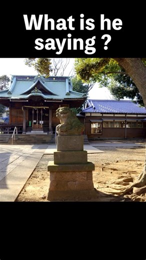 What Guardian dogs are saying? | Xperia PRO-I | Tokyo local place #japanvlog #travel #tokyo #film