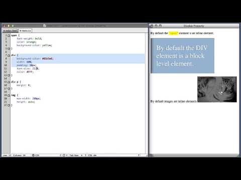 CSS Display Property Tutorial
