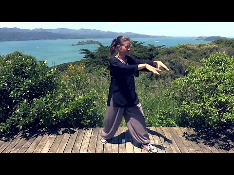 Tai Chi 5 Minutes a Day Module 01 - Easy for Beginners - the Wave and Embracing the Moon