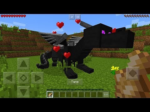 How To Tame a Ender Dragon in Minecraft Pocket Edition (Ride Dragon Addon)