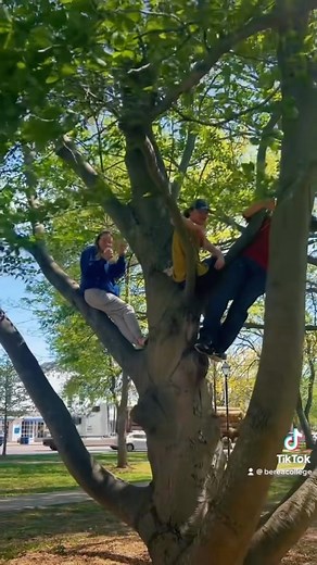 ☀️ the vibes on #campus today >>> | Berea College