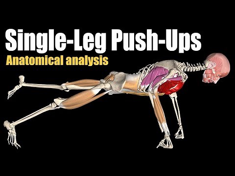 One Leg Push Ups | Watch all active muscles