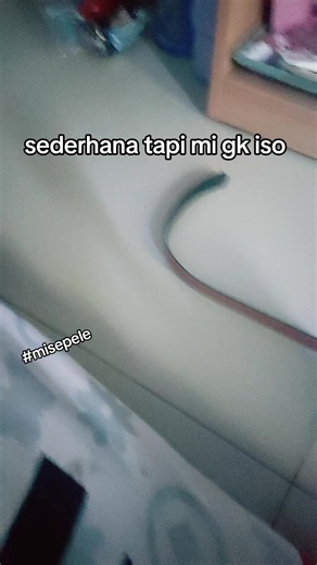 Mi Sepele: Arti dan Tren 'sederhana tapi mi gk iso'