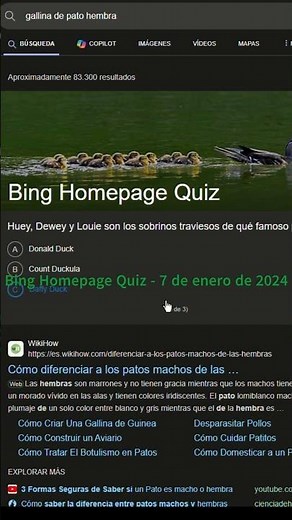 Bing Homepage Quiz - 7 de enero de 2024