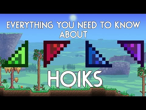 The Comprehensive Guide to Hoiks