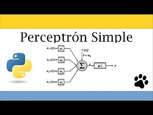 Artificial Neural Networks | Perceptron | Training Algorithm | on Python