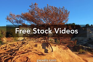 Flat Color Videos, Download The BEST Free 4k Stock Video Footage & Flat Color HD Video Clips