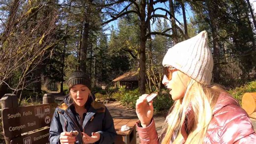 How One Young Woman Found The World’s Smallest Inlet And Biggest Trees