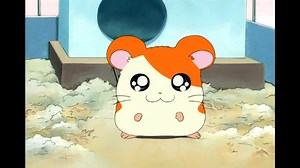 hamtaro capitulo 3