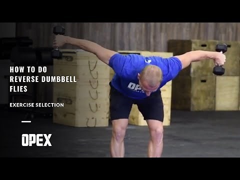 How To Do Dumbbell Reverse Flies with James Fitzgerald