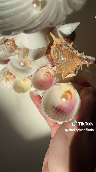 Seashell jewelry holder Fresh water pearls Ocean/beach aesthetic #handmade #handmadecraft ##handcraftedjewellerybox #uniquejewellerydesign #beachjewelry #shelljewellery #shelljewellerydisplays #uniquejewellery #coastaldecor #uniquejewellerybox