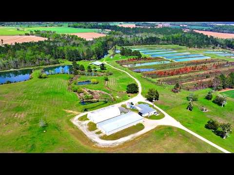 The World Record Bass Lives Here! (Titan Bass Hatchery)