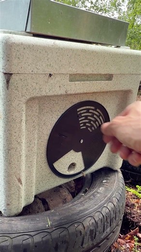 Beekeeping Swarm Collection Step By Step #wildlife #nature #newhome
