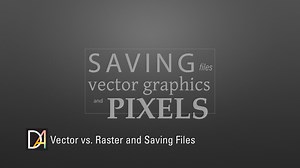 Vector vs. Raster and Basic File Types