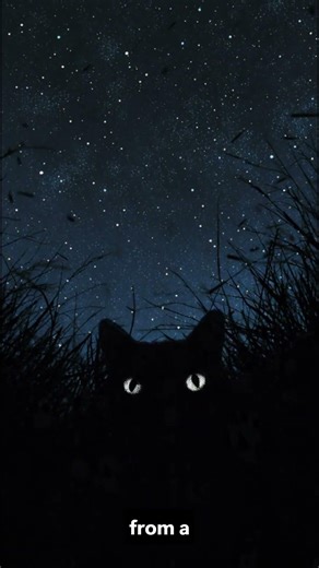 The Watcher Theory…