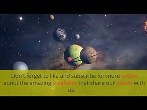 "Meet the Adorable Red-Crested Tree Rat: The Climbing Critter You Need to Know About!"