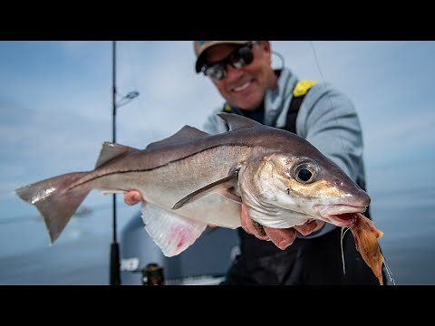 Spring Haddock Fishing | Plymouth, MA | S20 E04