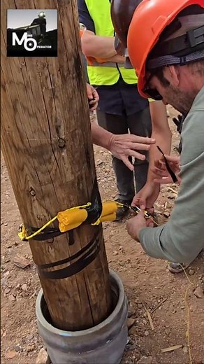 Dynamite Tree Removal #blasting #demolition